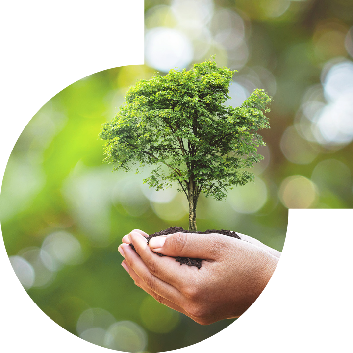 关怀人类、文化、环境与社会